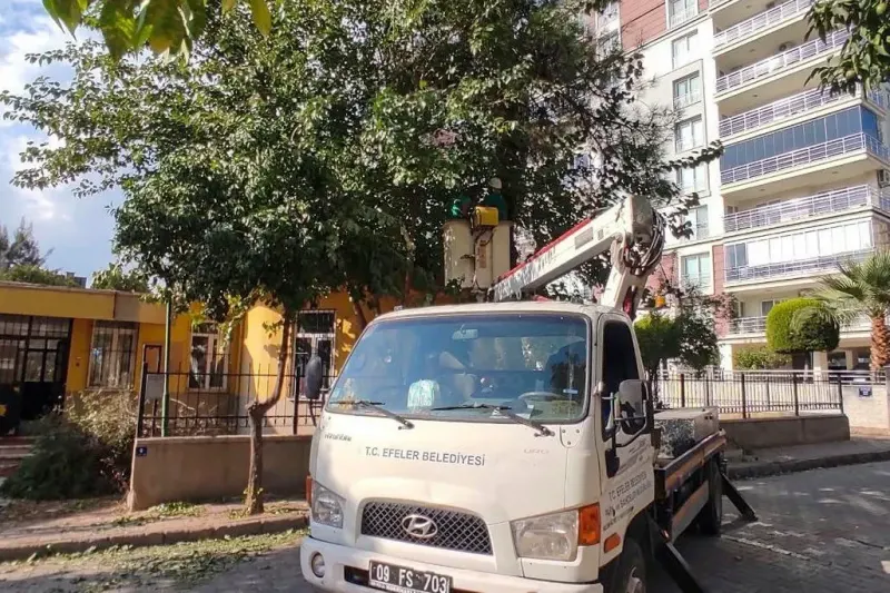 Efeler Belediyesinden Kent Genelinde Kapsamlı Yeşil Alan Bakımı