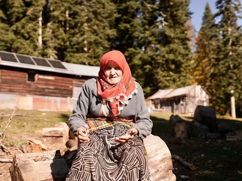 Düzce Yaylalarında Sonbahar Geldi, Yaylacıların Dönüş Yolculuğu Başladı