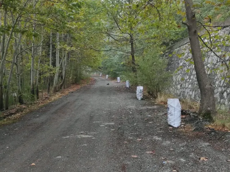 Pozantı'da İki Emekli Arkadaş Çevre Kirliliğine Karşı Harekete Geçti
