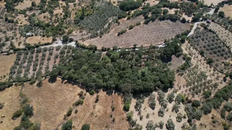 Manisa'da Tarihi Mezarlıklarda Kapsamlı Bakım Ve Tel Örgü Çalışması Başlatıldı