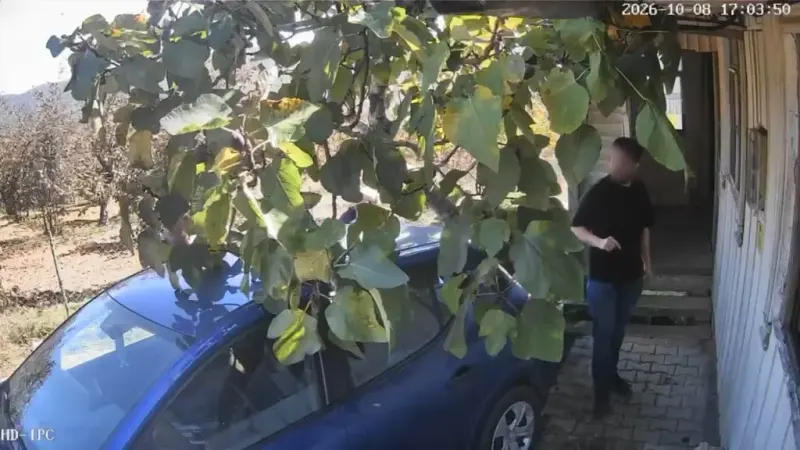 Kocaeli'de Komşu Kavgası: Lise Öğretmeni Yaşlı Adamı Muştayla Yaraladı