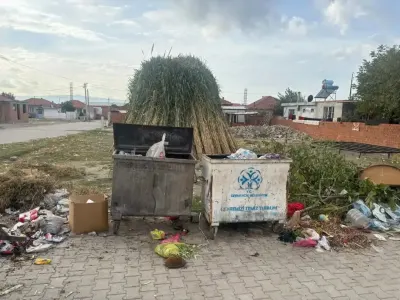Germencik Belediye Başkanı Burak Zencirci'den Çöp Konteynerlerine Zarar Verenlere Sert Tepki