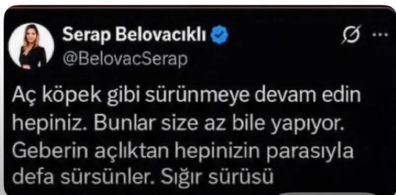 Gazeteci Serap Belovacıklı Hakkında Sosyal Medya Paylaşımı Nedeniyle Soruşturma Başlatıldı
