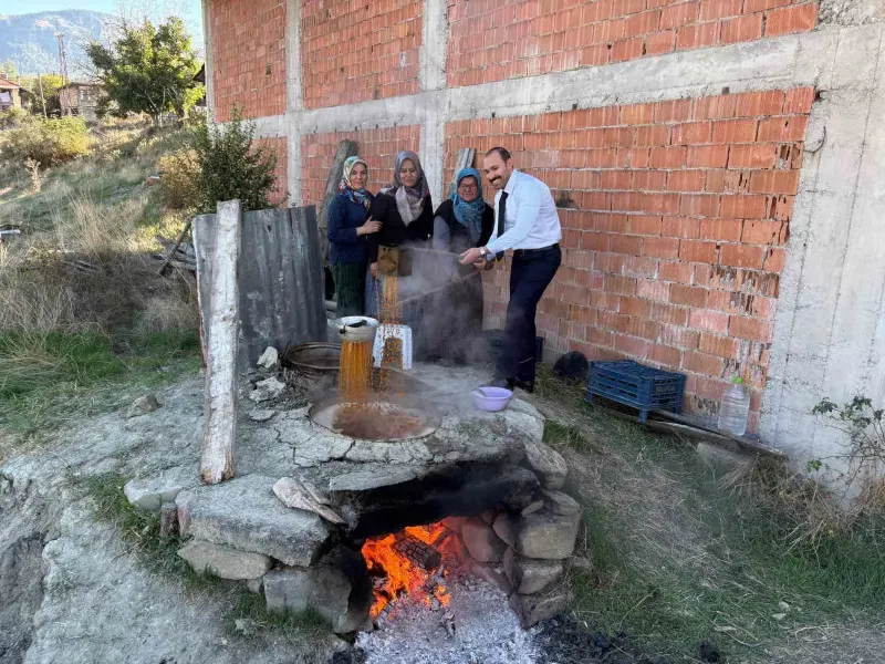 Bolu Seben İlçesinde Kaymakam Güngör Köylülerle Pekmez Kaynattı