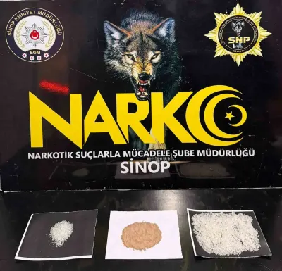 Sinop'ta Uyuşturucu Operasyonunda Bir Şüpheli Tutuklandı