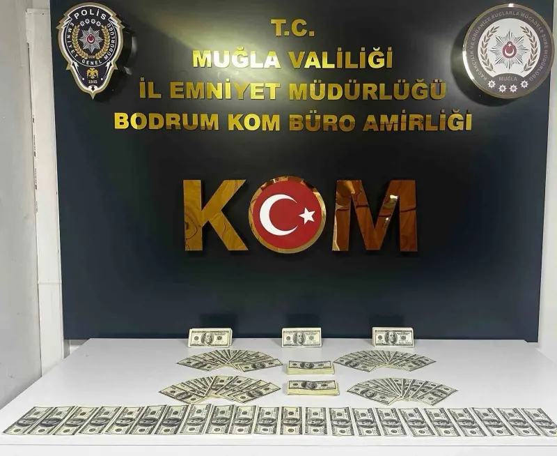 Bodrum'da Düzenlenen Sahte Döviz Operasyonunda Çok Miktarda Para Ele Geçirildi